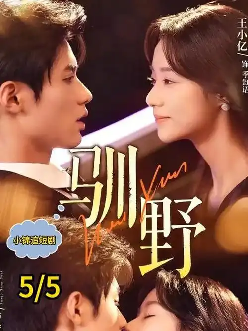 长夜将明 电视剧全集免费观看